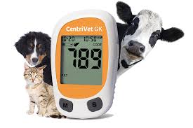 Centrivet Blutanalyse Ketose / Glucose mmol/l