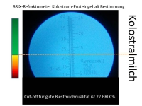 Refraktometer Messung der Kolostrumqualität