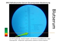 Refraktometer Messung der Kolostrumqualität